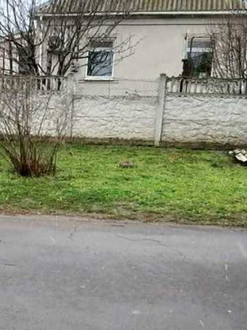 Виноградна, 5