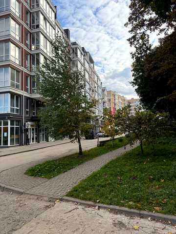 Володимира Великого вул., 3