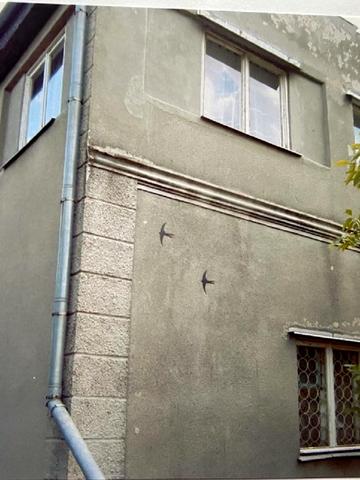 Єлизаветівка, Роздільнянський, Одеська область 12000 USD