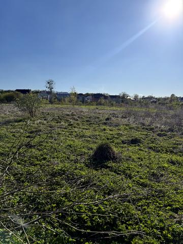 небесної сотні