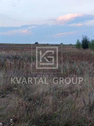 Синяк, Бучанський, Київська область 16000 USD