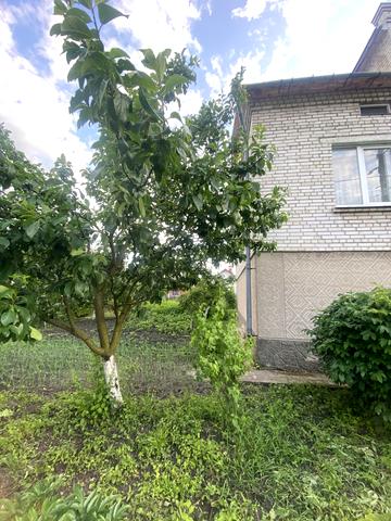 Зінковецька, 19