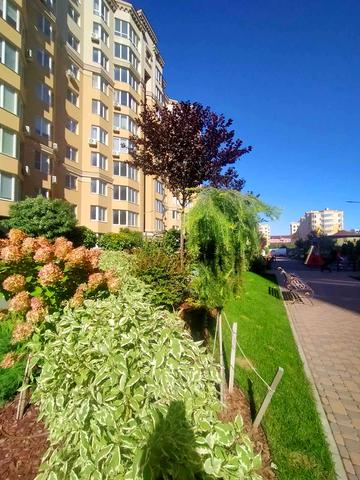 Миру вул., 50