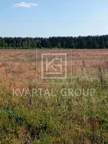 Гаврилівка, Бучанський, Київська область 8000 USD