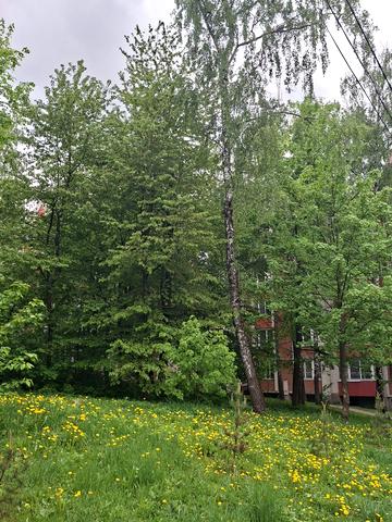 Чернівецька вул., 65