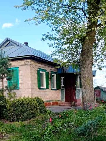 Героя Небилиці, 51