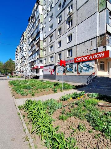 Василя Сергієнка вул. (Задніпровська), 66