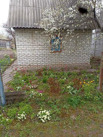 Миру просп., 290