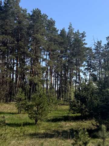 Гавронщина, Бучанський, Київська область 50000 USD