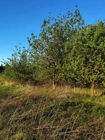 Малехів, Львівський, Львівська область 25000 USD