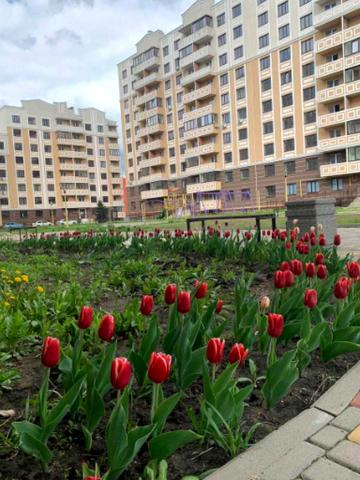 Відродження вул., 7