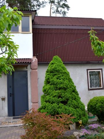 Садова Янтарна
