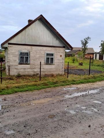 Зелена
