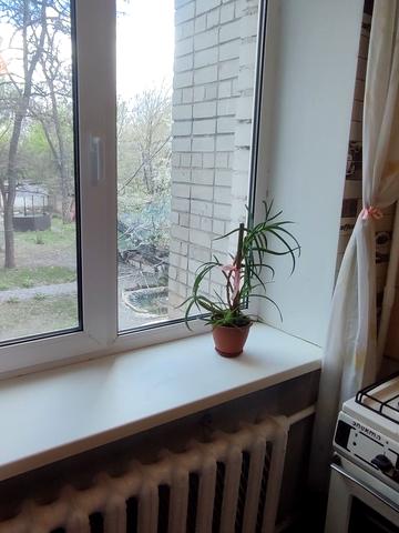 Львівська вул. (Леваневського), 10