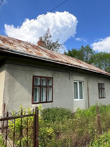 Черника, 3