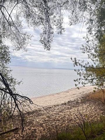 Жовтнева