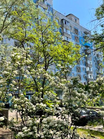 Миру просп., 47