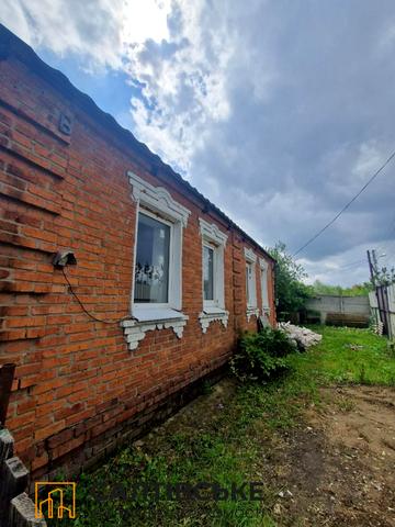 Колосистий пров., 14в