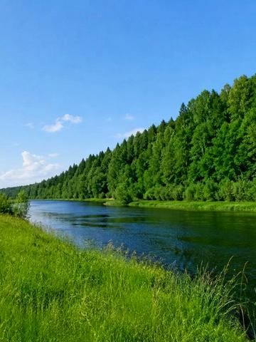 кленова