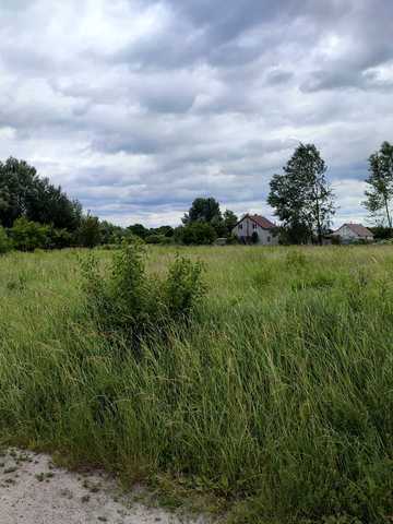 Гоголів, Броварський, Київська область 10000 USD