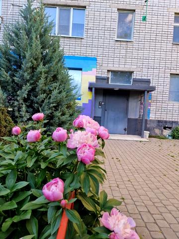 Будівельників вул. (Фрунзе), 28