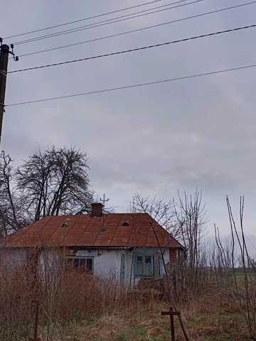 Сілець, Шептицький, Львівська область 4500 USD