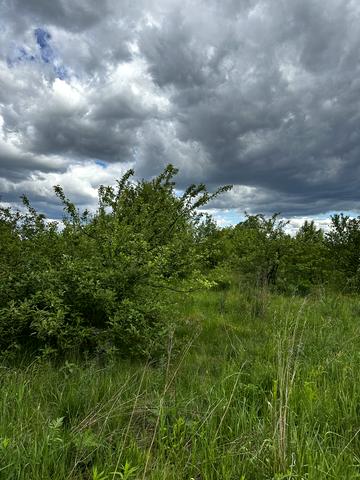 Басівка, Львівський, Львівська область 45000 USD