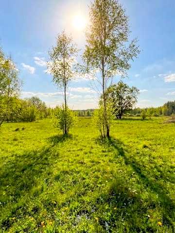 Козинці, Бучанський, Київська область 4500 USD