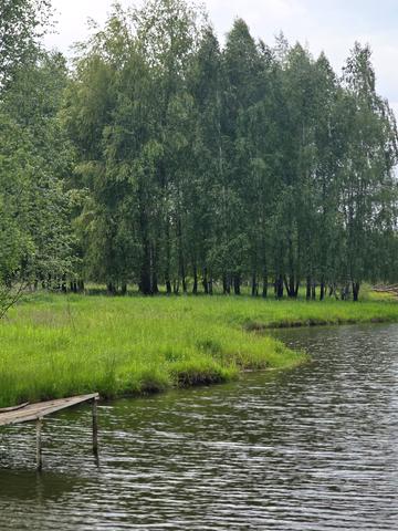 Мотижин, Бучанський, Київська область 300000 USD