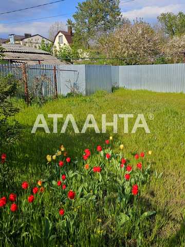Амбулаторний пров.