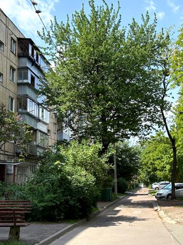 Симона Петлюри вул. (), 18б