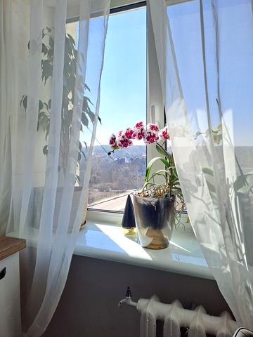 Борова вул., 47