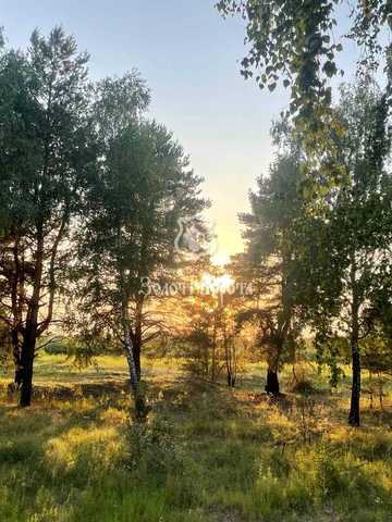 Київська вул., 19