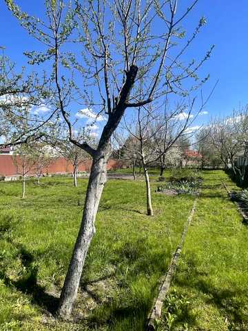 Рожни, Броварський, Київська область 113000 USD