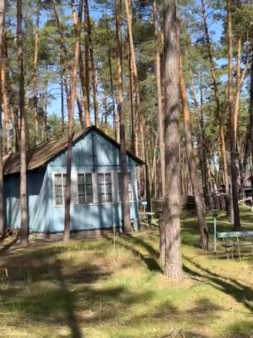 Вища Дубечня, Вишгородський, Київська область 30000 USD