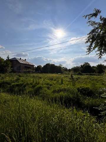 Польова