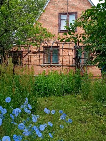 Садова