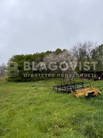 Велика Солтанівка, Фастівський, Київська область 55000 USD