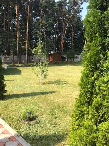 СТ Польова