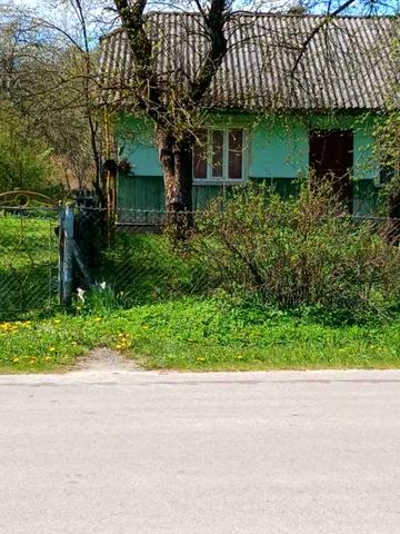 Шухевича