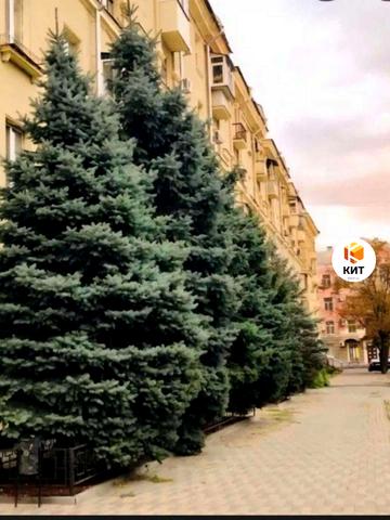 Героїв Харкова просп. (Московський), 15