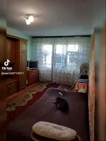 Святослава Ріхтера вул., 64/29