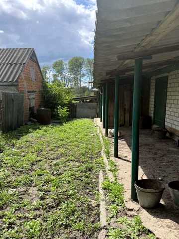 Центральна
