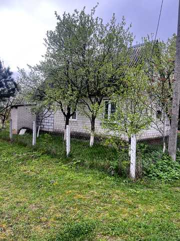 Берізкова