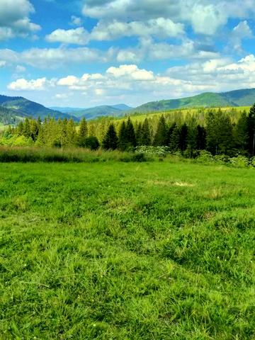 Волосянка, Стрийський, Львівська область 3800 USD