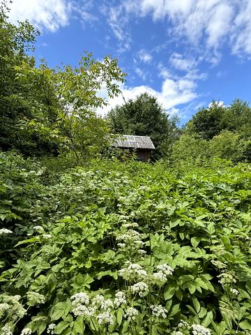 Перечин, Ужгородський, Закарпатська область 12000 USD
