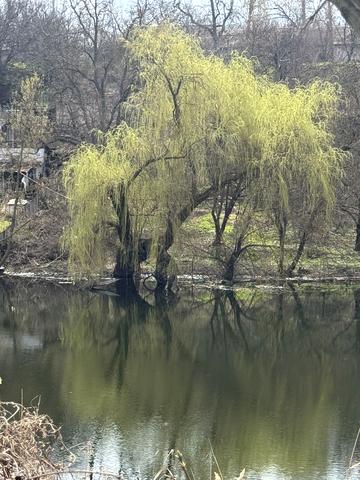 Маріупольська вул., 23