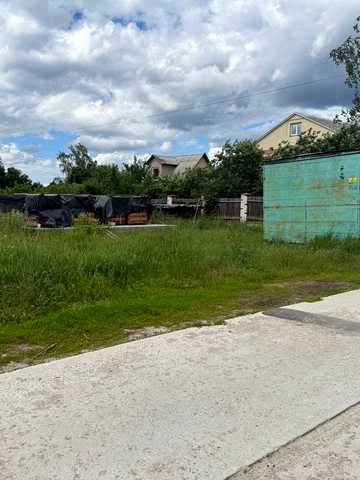 Виноградна