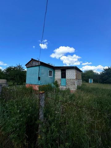 Квітуча