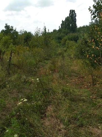 Берегове, Берегівський, Закарпатська область 7000 USD